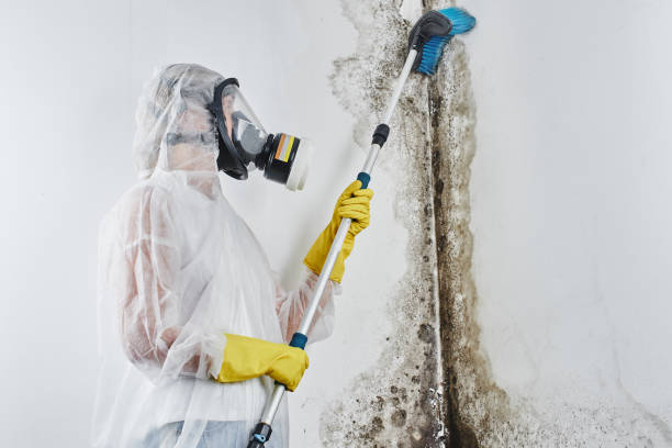 Water damage restoration insurance claims in Mcguire Af, NJ