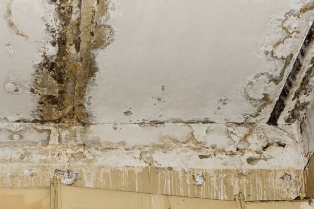 Professional Water damage restoration in Mcguire Af, NJ